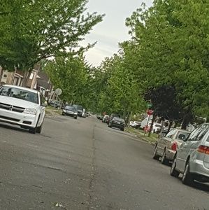 Meet your Posher, Ammer